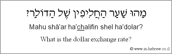 English to Hebrew: What is the dollar exchange rate?