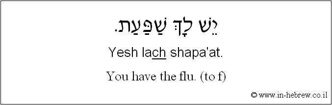 English to Hebrew: You have the flu. ( to f )