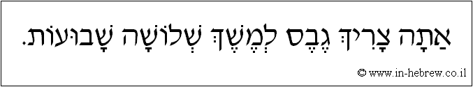 עברית: אתה צריך גבס למשך שלושה שבועות.