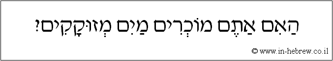 עברית: האם אתם מוכרים מים מזוקקים?