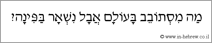 עברית: מה מסתובב בעולם אבל נשאר בפינה?