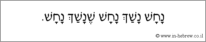 עברית: נחש נשך נחש שנשך נחש.