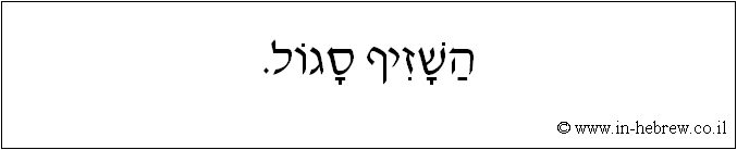 עברית: השזיף סגול.