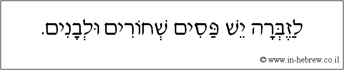 עברית: לזברה יש פסים שחורים ולבנים.