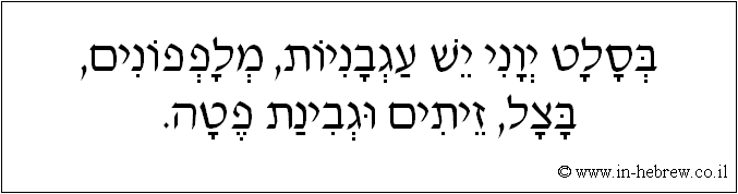עברית: בסלט יוני יש עגבניות, מלפפונים, בצל, זיתים וגבינת פטה.