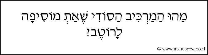 עברית: מהו המרכיב הסודי שאת מוסיפה לרוטב?