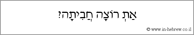 עברית: את רוצה חביתה?