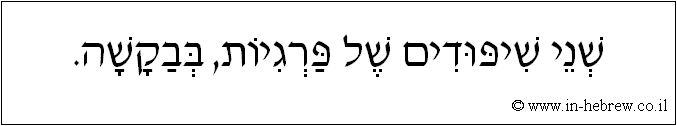עברית: שני שיפודים של פרגיות, בבקשה.