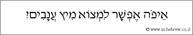 עברית: איפה אפשר למצוא מיץ ענבים?