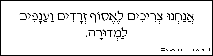 עברית: אנחנו צריכים לאסוף זרדים וענפים למדורה.