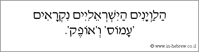 עברית: הלוויינים הישראליים נקראים 'עמוס' ו'אופק'.