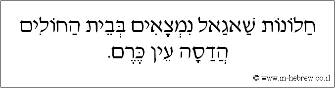 עברית: חלונות שאגאל נמצאים בבית החולים הדסה עין כרם.