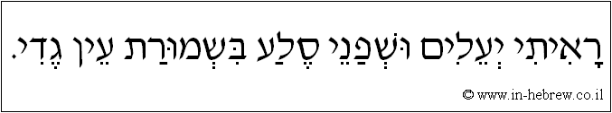 עברית: ראיתי יעלים ושפני סלע בשמורת עין גדי.