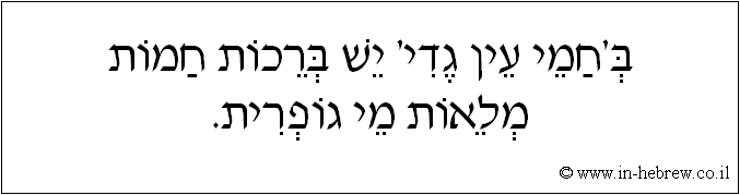 עברית: ב'חמי עין גדי' יש ברכות חמות מלאות מי גופרית.