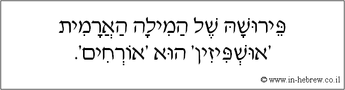 עברית: פירושה של המילה הארמית 'אושפיזין' הוא 'אורחים'.