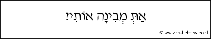 עברית: את מבינה אותי?