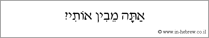 עברית: אתה מבין אותי?