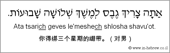 中文和希伯来语: 你得绑三个星期的绷带。（对男）