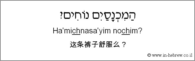中文和希伯来语: 这条裤子舒服么？