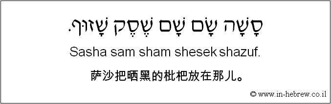 中文和希伯来语: 萨沙把晒黑的枇杷放在那儿。