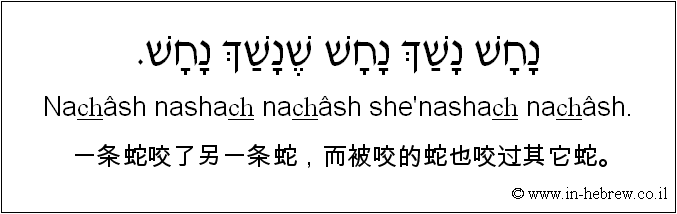 中文和希伯来语: 一条蛇咬了另一条蛇，而被咬的蛇也咬过其它蛇。