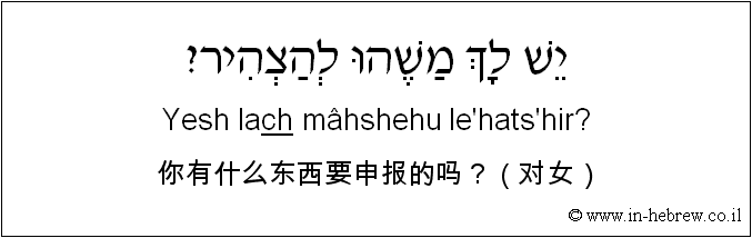 中文和希伯来语: 你有什么东西要申报的吗？（对女）