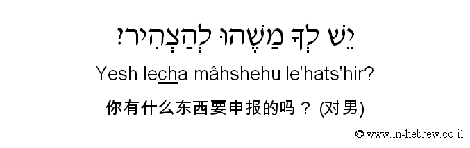 中文和希伯来语: 你有什么东西要申报的吗？ (对男)