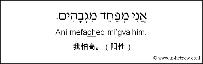 中文和希伯来语: 我怕高。（阳性）