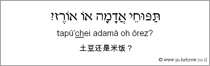 中文和希伯来语: 土豆还是米饭？
