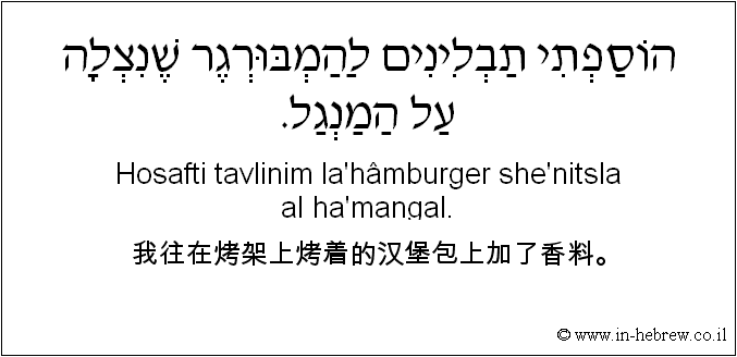 中文和希伯来语: 我往在烤架上烤着的汉堡包上加了香料。