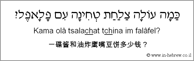 中文和希伯来语: 一碟酱和油炸鹰嘴豆饼多少钱？