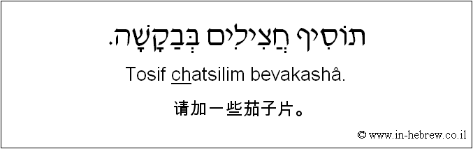 中文和希伯来语: 请加一些茄子片。