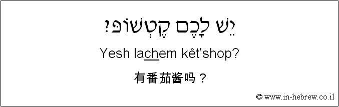 中文和希伯来语: 有番茄酱吗？