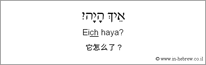 中文和希伯来语: 它怎么了？