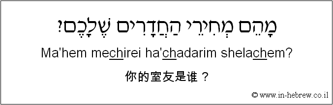 中文和希伯来语: 你的室友是谁？