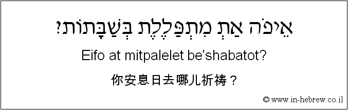 中文和希伯来语: 你安息日去哪儿祈祷？