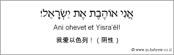 中文和希伯来语: 我爱以色列！（阴性）