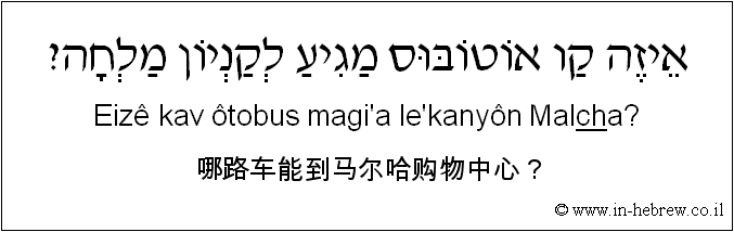 中文和希伯来语: 哪路车能到马尔哈购物中心？