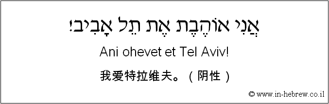 中文和希伯来语: 我爱特拉维夫。（阴性）