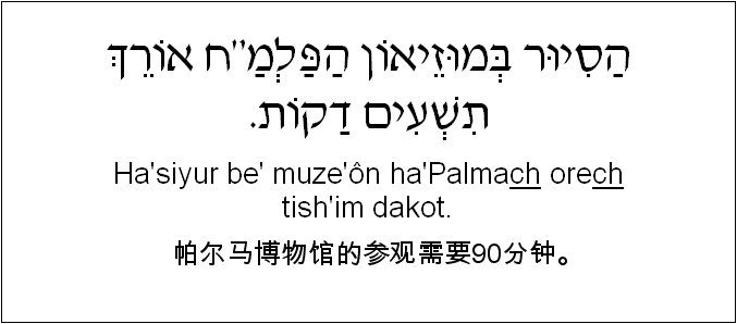 中文和希伯来语: 帕尔马博物馆的参观需要90分钟。