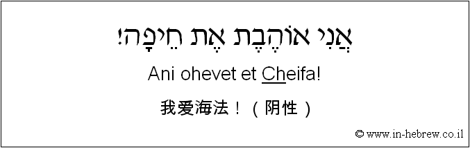 中文和希伯来语: 我爱海法！（阴性）