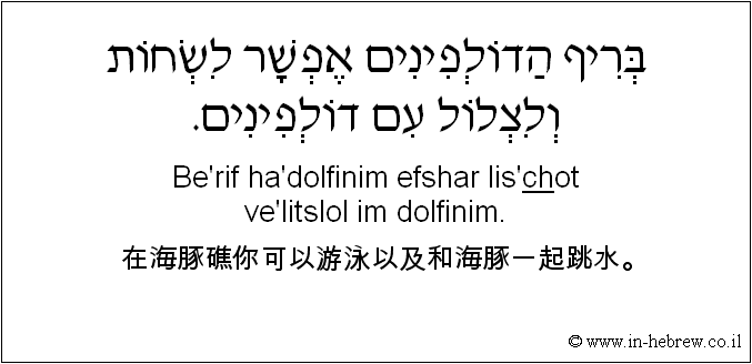 中文和希伯来语: 在海豚礁你可以游泳以及和海豚一起跳水。