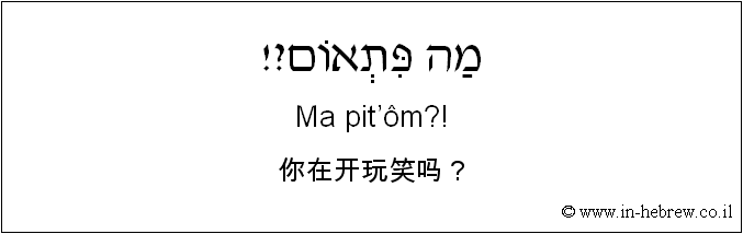 中文和希伯来语: 你在开玩笑吗？
