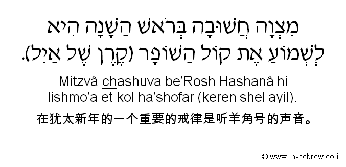中文和希伯来语: 在犹太新年的一个重要的戒律是听羊角号的声音。