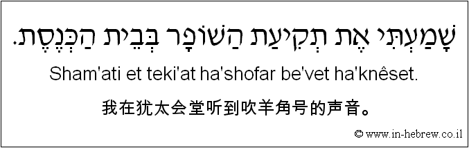 中文和希伯来语: 我在犹太会堂听到吹羊角号的声音。