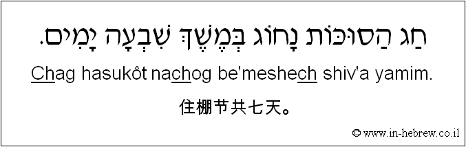中文和希伯来语: 住棚节共七天。
