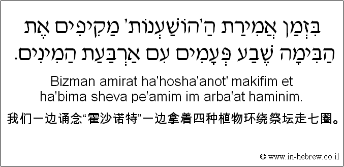 中文和希伯来语: 我们一边诵念“霍沙诺特”一边拿着四种植物环绕祭坛走七圈。