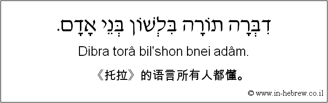 中文和希伯来语: 《托拉》的语言所有人都懂。