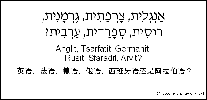 中文和希伯来语: 英语、法语、德语、俄语、西班牙语还是阿拉伯语？