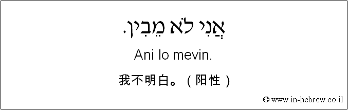 中文和希伯来语: 我不明白。（阳性）